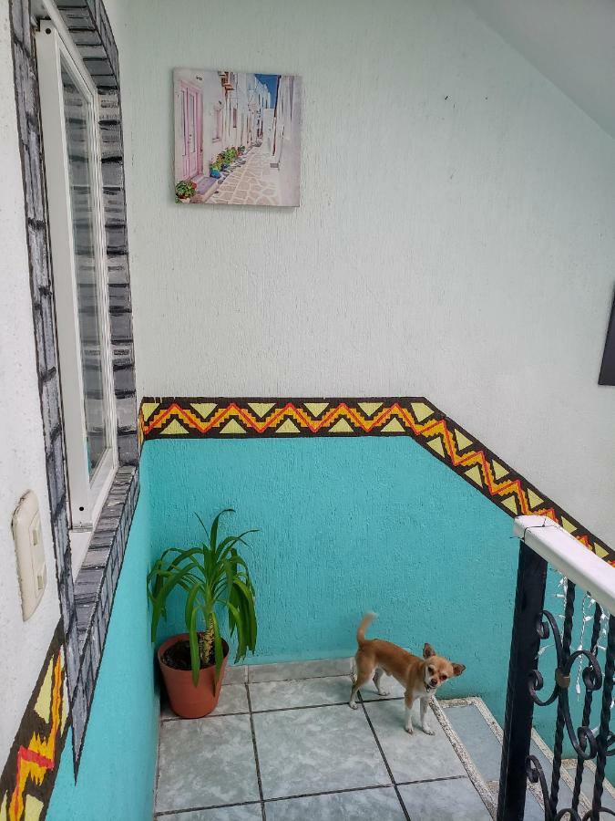 Posada Paso Del Sol Isla Mujeres Luaran gambar